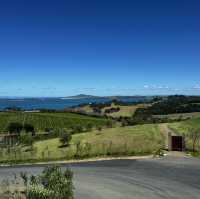 Waiheke island winery tour