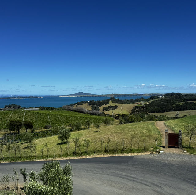 Waiheke island winery tour