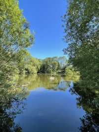 Epping Forest Walk