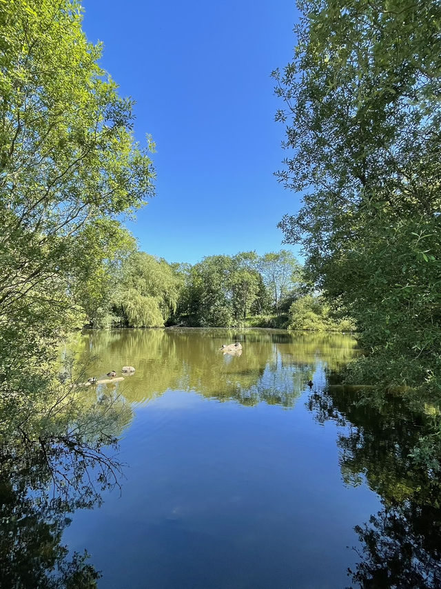 Epping Forest Walk
