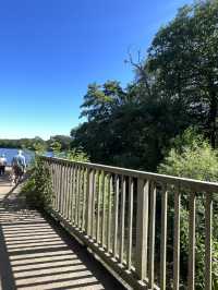 Epping Forest Walk
