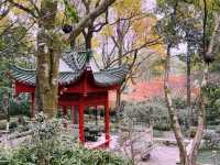 Half-Day in Chongqing: Scenic Views, History, and High Tea
