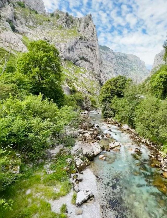 Peaks and Valleys: A Summer Escape to Picos de Europa National Park