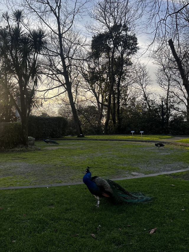 5 Days in Porto