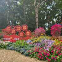 Yuexiu park 🏞 a place for relaxing and meditation❤️