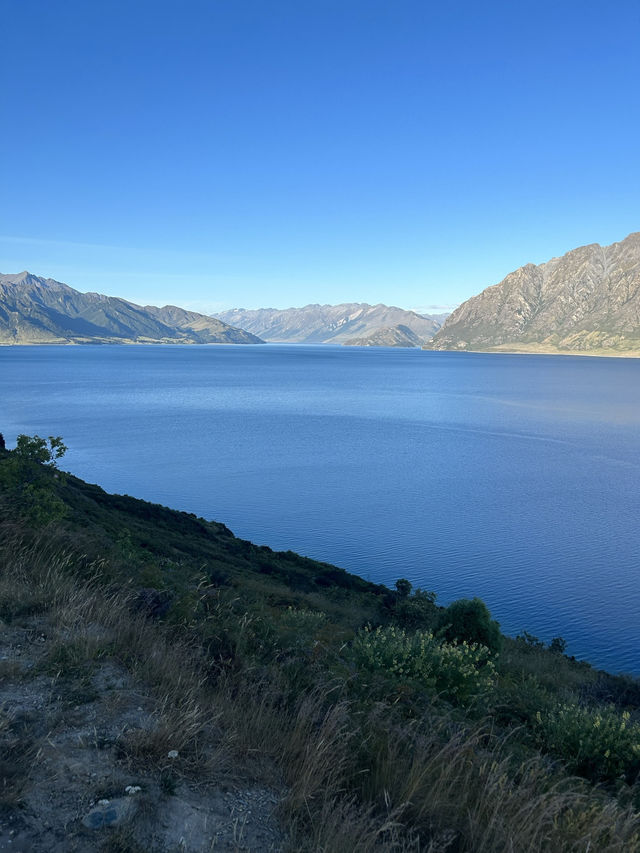 🚗💦 Wanaka to Haast: A Scenic Drive Through Lakes & Waterfalls