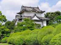 櫻花之地名古屋城