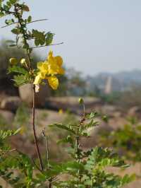 Boulder Paradise in Hampi: Nature’s Majestic Playground