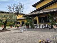 Bees are at work in this local italian winery!