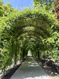Spring Vibes in Dushanbe – Avicenna University Garden Stroll