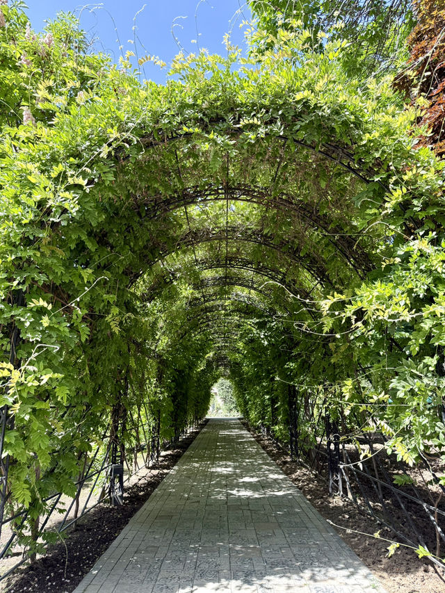 Spring Vibes in Dushanbe – Avicenna University Garden Stroll