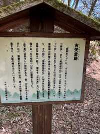 World heritage pilgrimage in Japan. Walking on Kumano Kodo