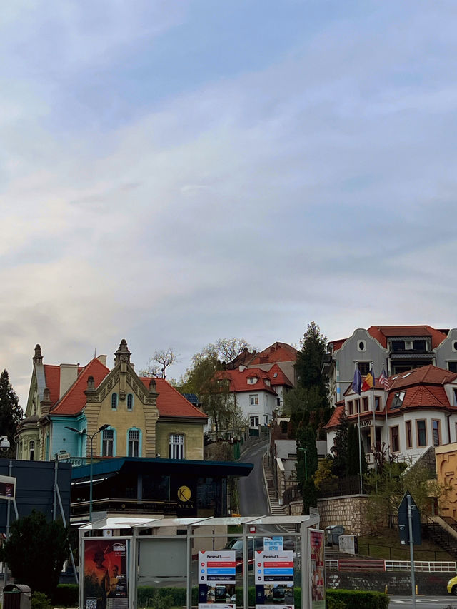 🇷🇴 羅馬尼亞布拉索夫（Brașov） 🐇