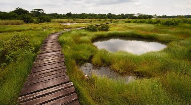 SEMLIKI NATIONAL PARK: UGANDA’S HIDDEN TROPICAL EDEN