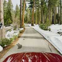 Snowy Lake Tahoe 