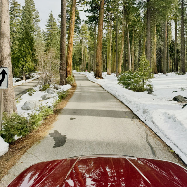 Snowy Lake Tahoe 