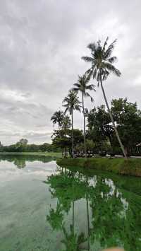 Temples, Nature & Cafés: Why Everyone Falls for Chiang Mai 🏯🌿☕