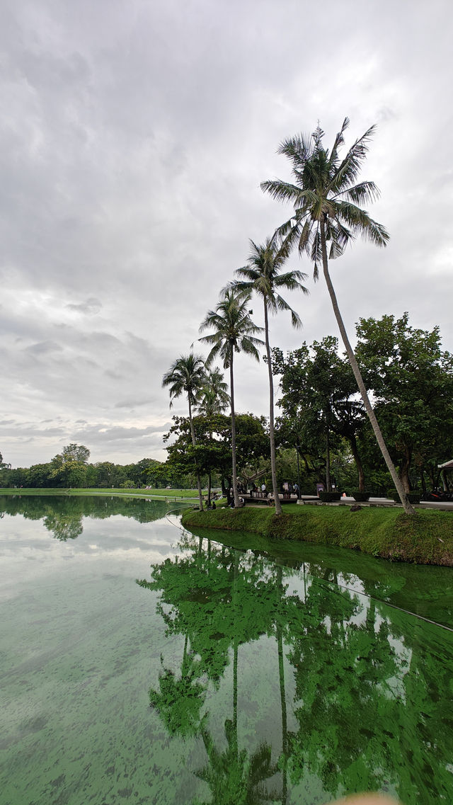 Temples, Nature & Cafés: Why Everyone Falls for Chiang Mai 🏯🌿☕