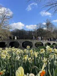 Into the World of Tulips: A Journey to Keukenhof