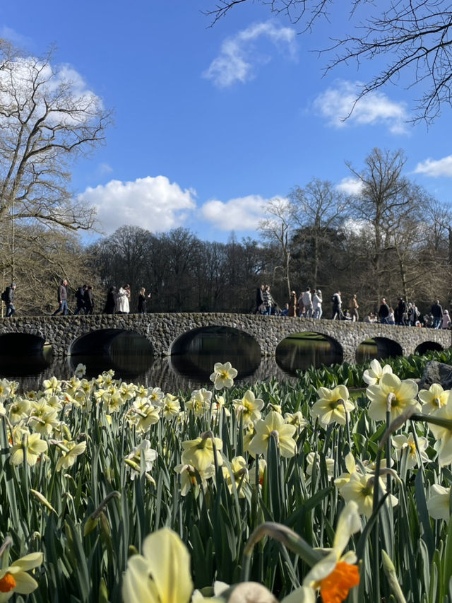 Into the World of Tulips: A Journey to Keukenhof