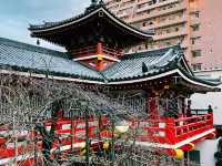 🚗 Ride-Sharing in Nagoya: Smart, Easy, and Totally Worth It 🇯🇵✨
