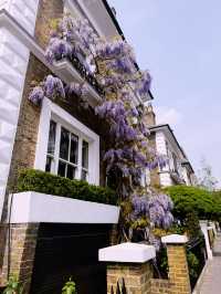 Kensington to Richmond: A Weekend Escape Without Leaving London