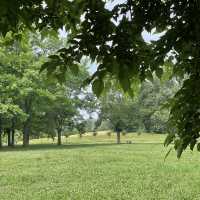 Parco della Pellerina