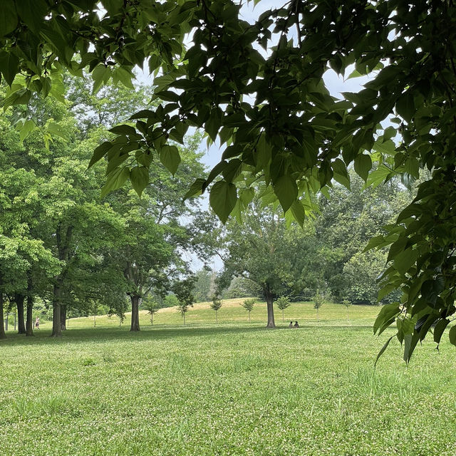 Parco della Pellerina