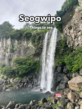 제주 서귀포에서 꼭 해야 할 일 🌊