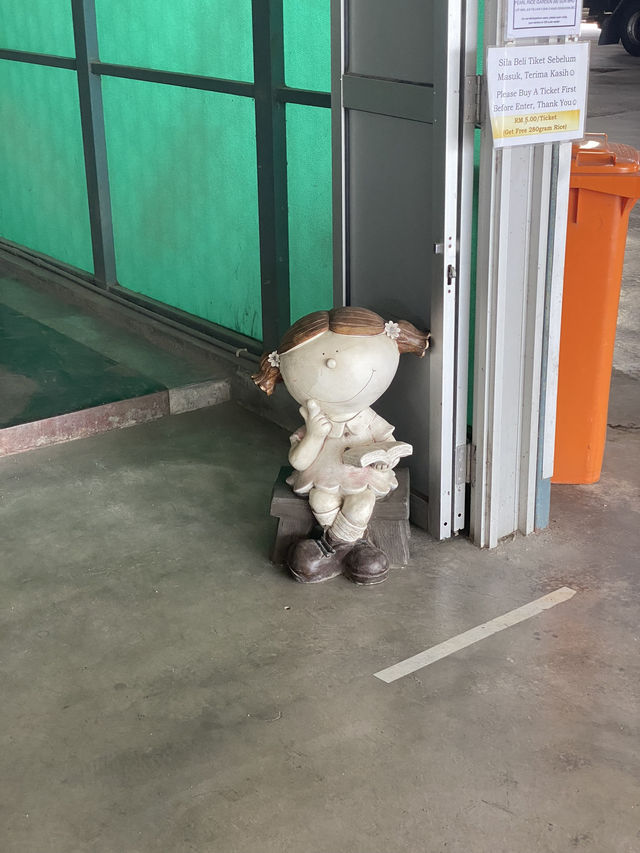 From Field to Fork: Inside Sekinchan’s Paddy Processing Factory & Rice Gallery 