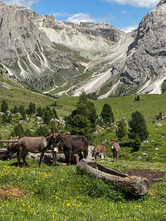 Seceda: closer to the sky ⛰️
