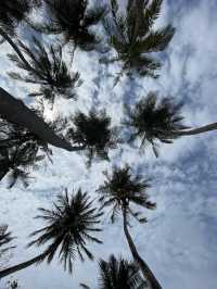 🏝️ Thulusdhoo – Island Life in the Maldives 🌊✨