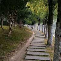 🌿 Hidden Gems Around Swan Lake: Discover Hefei’s Modern Heart