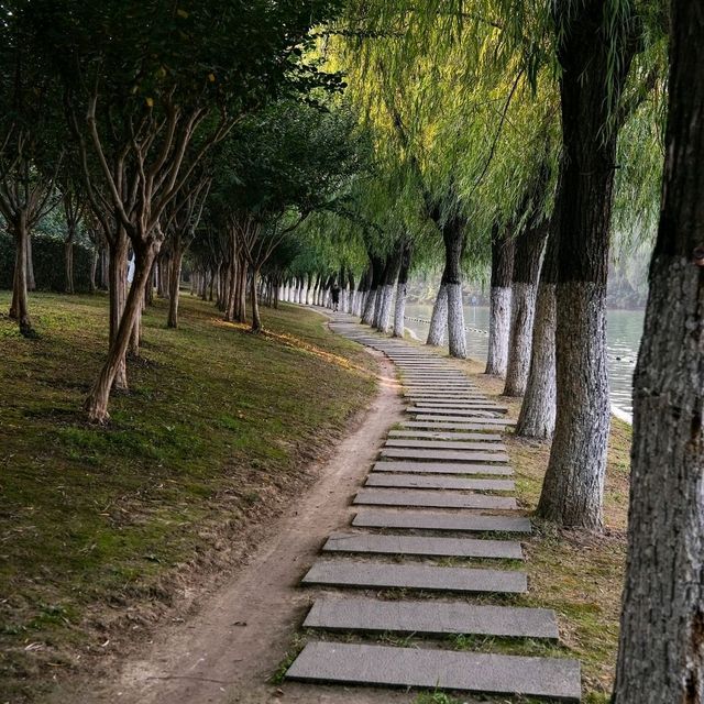 🌿 Hidden Gems Around Swan Lake: Discover Hefei’s Modern Heart 🌿 Hidden Gems Around Swan Lake: Discover Hefei’s Modern Heart