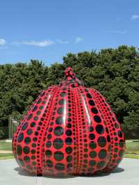 【オーストラリア・モーニントン半島】自然とアートが溶け合う「Pt. Leo Sculpture Park」🎨🌿