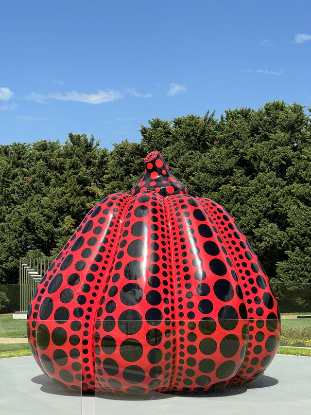 【オーストラリア・モーニントン半島】自然とアートが溶け合う「Pt. Leo Sculpture Park」🎨🌿