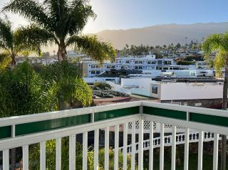 Santa Cruz de Tenerife — The Vibrant Soul of the Canary Islands 🇪🇸  