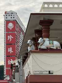 Free Singapore Stopover Program✨