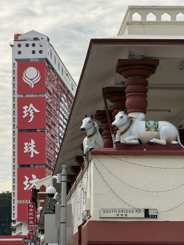 Free Singapore Stopover Program✨