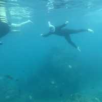 ๐ฒ๐พ Malaysia ๐๏ธ Redang Island Magic Escape ๐