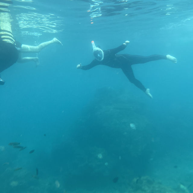 ๐ฒ๐พ Malaysia ๐๏ธ Redang Island Magic Escape ๐ ๐ฒ๐พ Malaysia ๐๏ธ Redang Island Magic Escape ๐