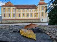 Architectural Charm🏛️