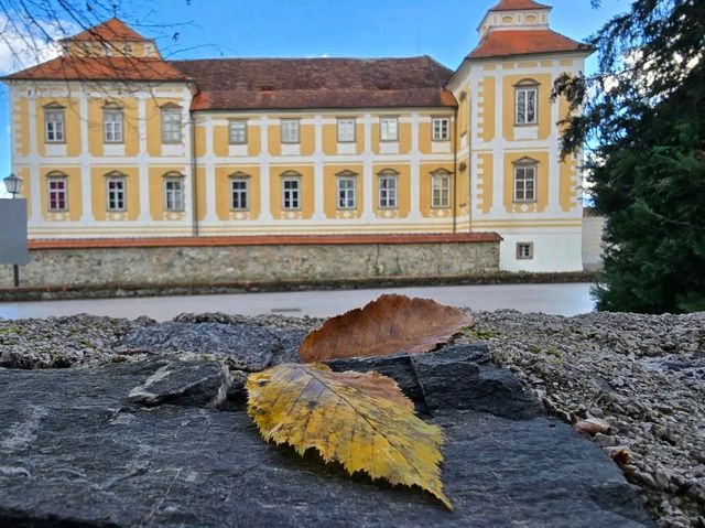 Architectural Charm🏛️ Architectural Charm🏛️