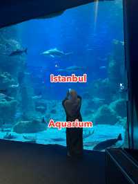 🐠 Istanbul Aquarium: what you’ll see, ticket prices & how to plan your visit 🇹🇷