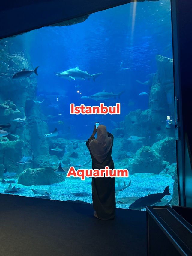🐠 Istanbul Aquarium: what you’ll see, ticket prices & how to plan your visit 🇹🇷