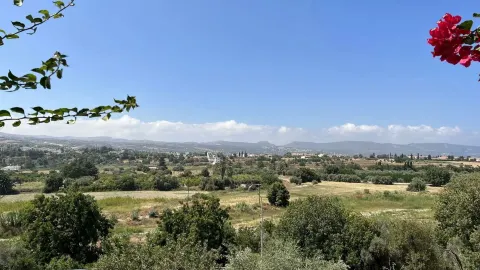 Polis Chrysochous — The Cypriot Town Where the Mountains Meet the Sea and Ancient Kingdoms Sleep Ben — traveler post in Polis