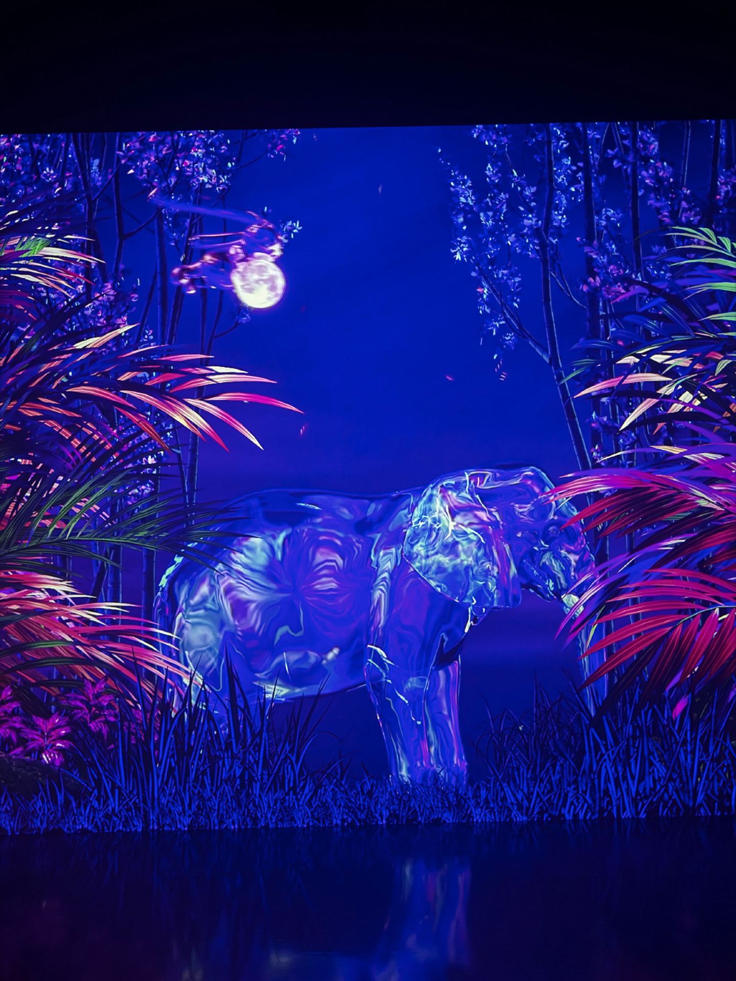 ARTE全沉浸式美術館-釜山值得去嗎？我的體驗