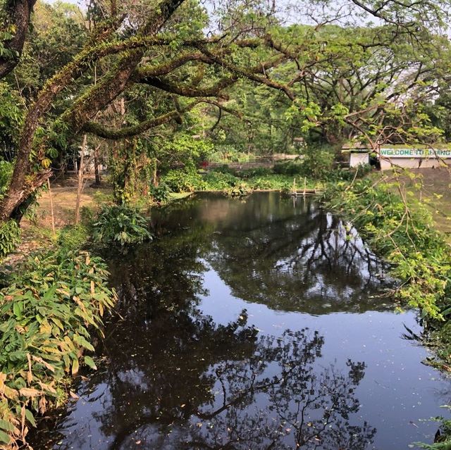 Animals of Chiang Mai Zoo