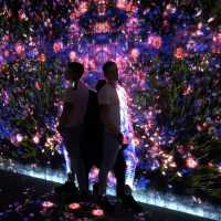 Teamlab - Tokyo