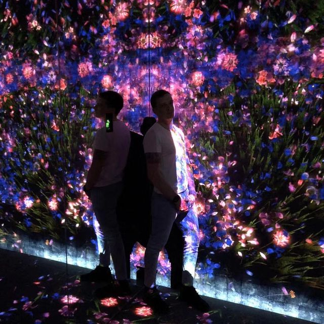Teamlab - Tokyo